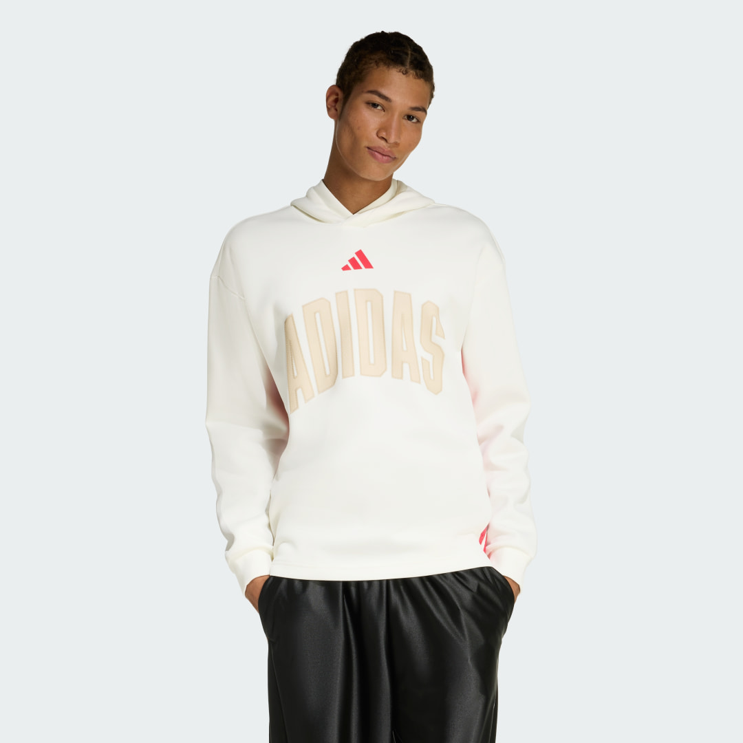 STADIUM GRAPHIC HOODIE STADIUM GRAPHIC HOODIE