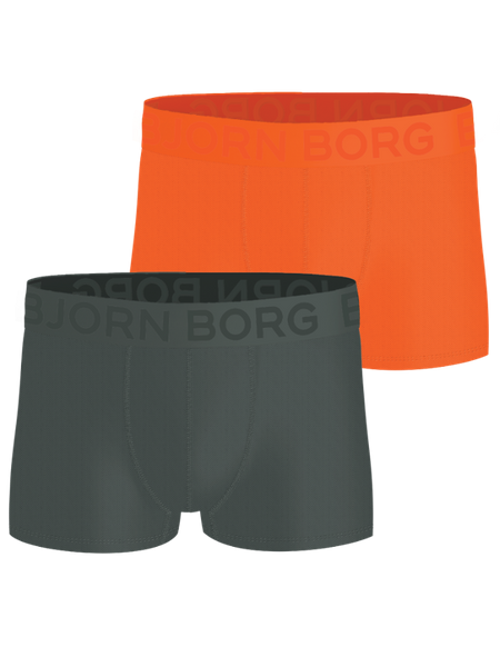 Björn Borg Sports Mesh Trunks 2-pack Multi, L