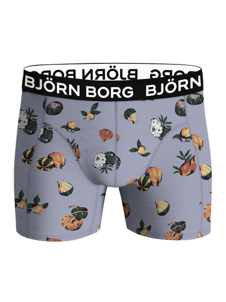 Björn Borg Microfiber Boxers Multi, L