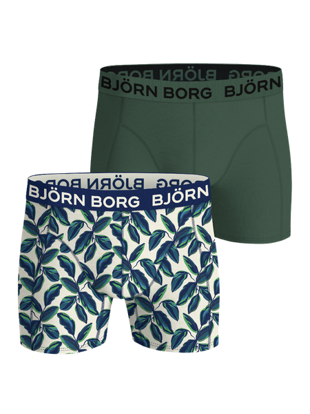 Björn Borg Bamboo Cotton Blend Boxers 2-pack Grön, L